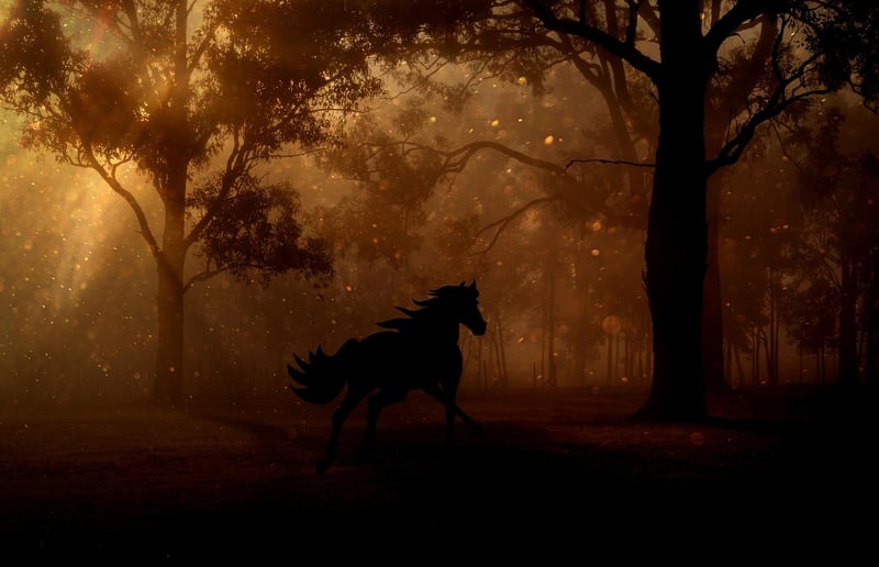 Fairy-tale Grove