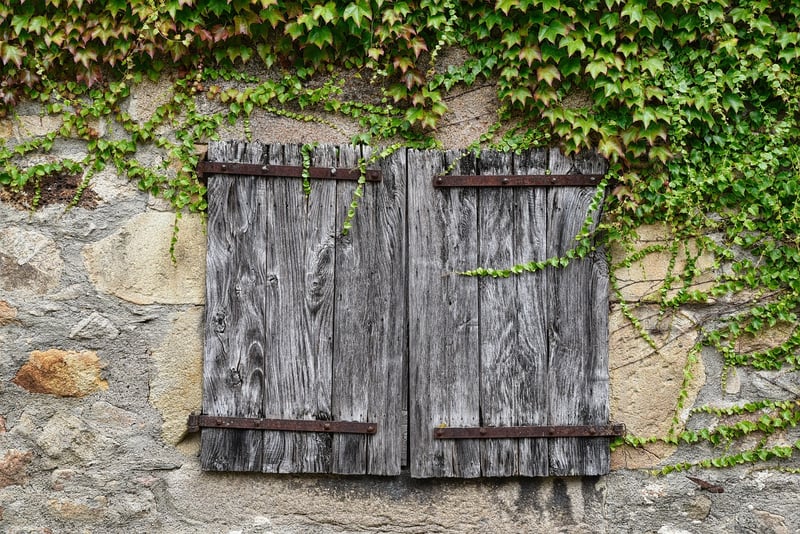 Rustic Charm